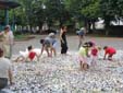 photos, imagettes de la participation de la Mercerie  la biennale Vies  vies en la Ville de Melle 2005. Sur le Rond-point-point-de-rencontre devenu aire de jeu, le public prend un bain de boutons