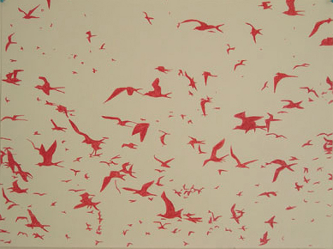 oiseaux rouges