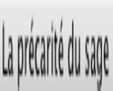 picto blog sage precaire de Guillaume Thouroude