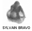 imagette oeuvre de Sylvain Bravo