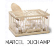 imagette oeuvre de Marcel Duchamp why not sneeze